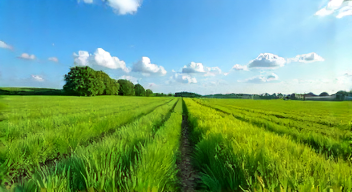 Die Kunst der Landwirtschaft (10/10)