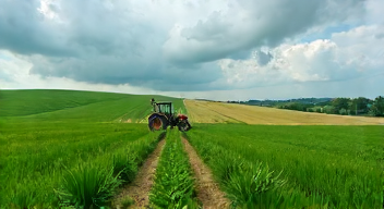 Ökonomische Herausforderungen in der Landwirtschaft (8/10)
