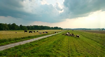 Politische Dimensionen der Tierhaltung (7/10)