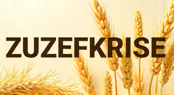 Die 5 meistgestellten Fragen (FAQ) zu der Zuckerkrise