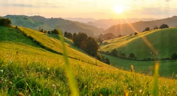 Die besten 8 Tipps bei regionaler Wertschöpfung