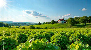 Perspektiven zur Landwirtschaft sind vielfältig.