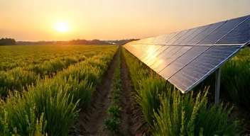 Psychologische Aspekte der Agri-PV-Nutzung (7/10)